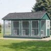10x16 Commercial Dog Kennel