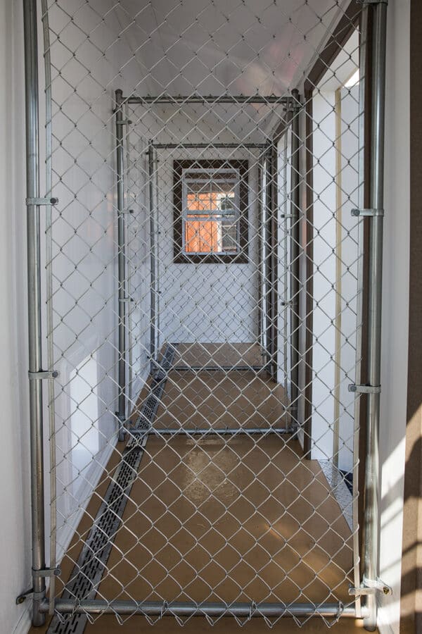 10x16 dog kennel