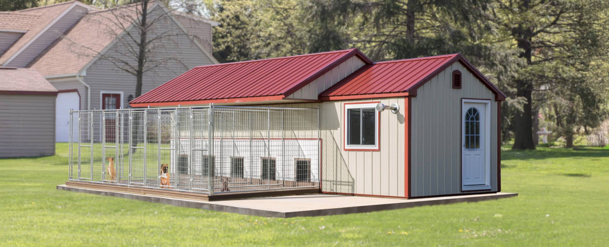 10x28_large_dog_kennel-wide2-scaled