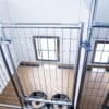 12x22 6-Run Commercial Kennel