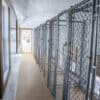 12x32 8-Run Commercial Kennel