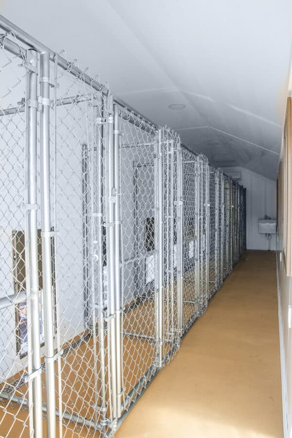 12x32 8-Run Commercial Kennel