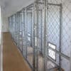12x42 8-Run Commercial Kennel With A Lobby