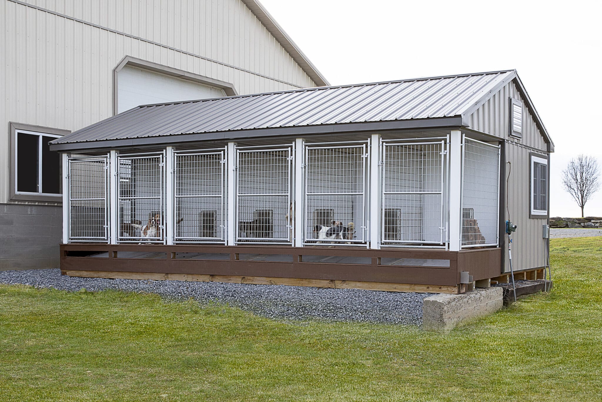 14x24 dog kennel front