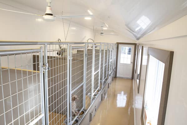 14x24 6-Run Commercial Kennel