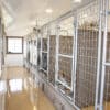 14x24 6-Run Commercial Kennel