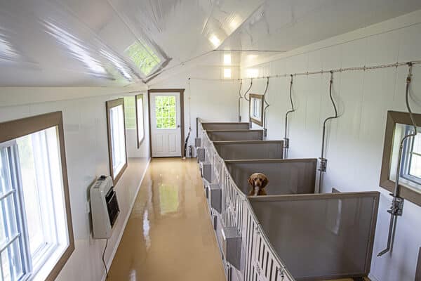 14x28 7-Run Commercial Kennel