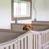 14x28 7-Run Commercial Kennel