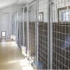 14x30 5-Run Commercial Kennel With Lobby