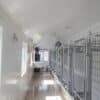 14x32 8-Run Commercial Kennel