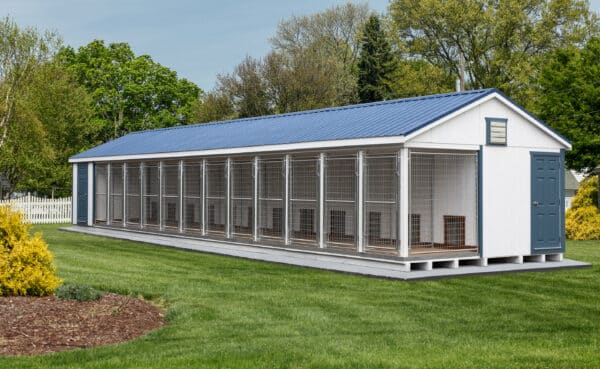 14x54 12-Run Commercial Kennel