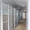 14x54 12-Run Commercial Kennel