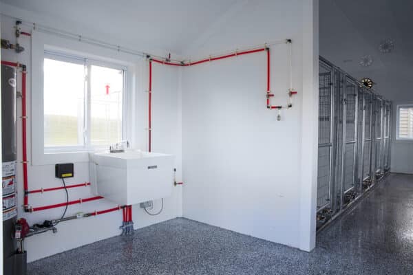 20x28 5-Run Commercial Kennel