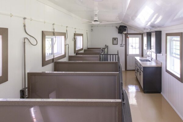 20x34 Commercial Dog Kennel