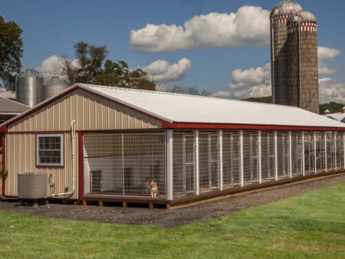 20x60 12-Run Commercial Kennel