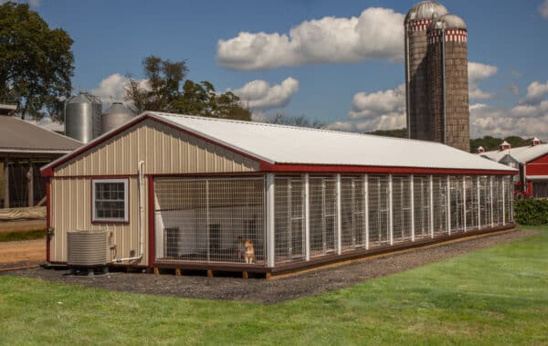 20x60 12-Run Commercial Kennel
