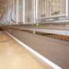 U-Shaped 40-Run Dog Commercial Kennel