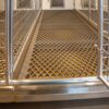 U-Shaped 40-Run Dog Commercial Kennel