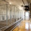 U-Shaped 40-Run Dog Commercial Kennel