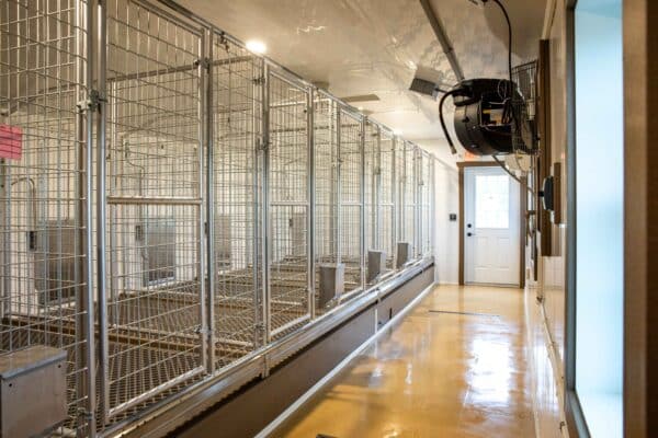 U-Shaped 40-Run Dog Commercial Kennel