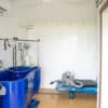 U-Shaped 40-Run Dog Commercial Kennel