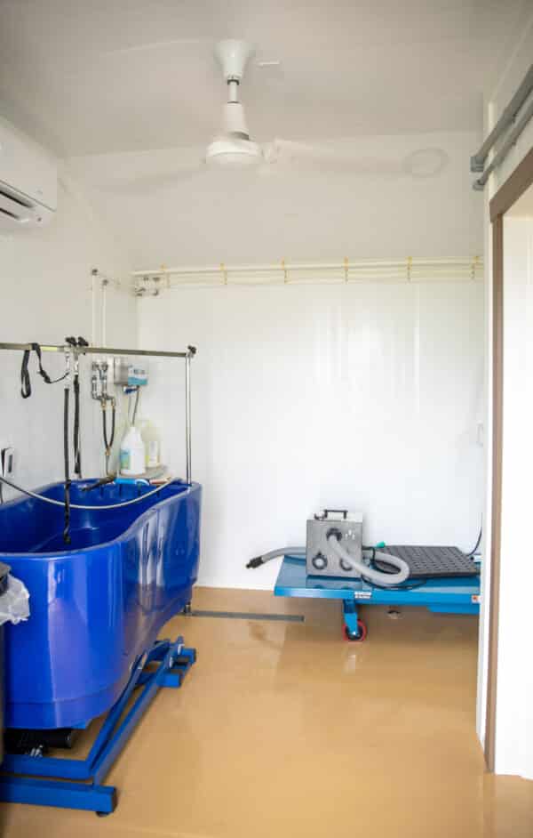 U-Shaped 40-Run Dog Commercial Kennel