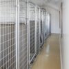 12x32 6-Run Commercial Kennel