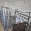 12x32 6-Run Commercial Kennel