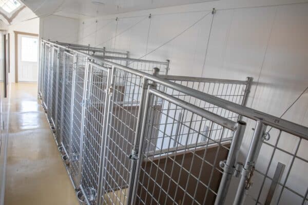 12x32 6-Run Commercial Kennel
