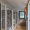 12x17 5-Run Commercial Kennel
