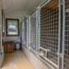 12x17 5-Run Commercial Kennel