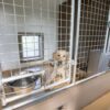 12x17 5-Run Commercial Kennel