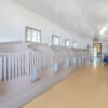 15x56 12-Run Commercial Kennel