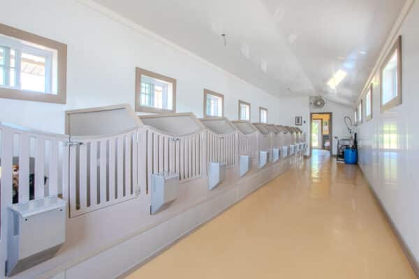 15x56 12-Run Commercial Kennel