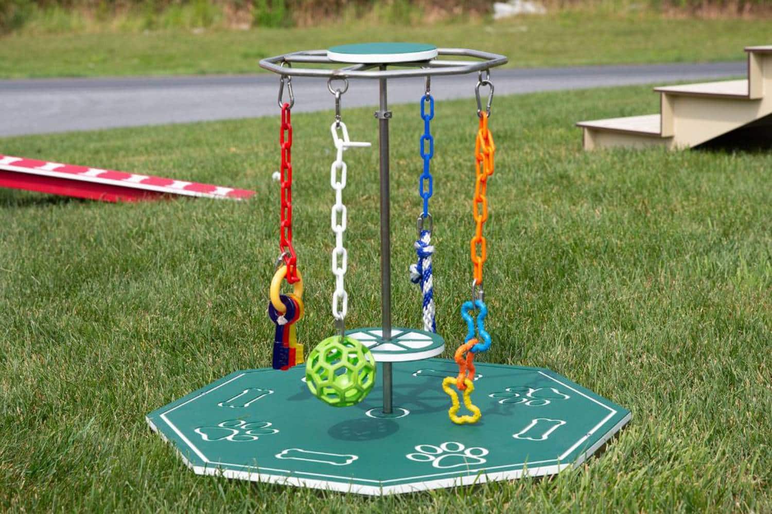 Tools and toys for dogs