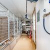 15x32 8-Run Commercial Kennel