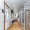 15x32 8-Run Commercial Kennel