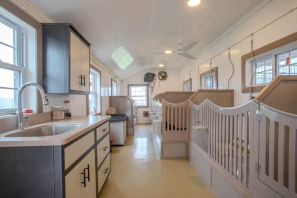 BIH784A7559-HDR784a7559-hdr 14x36 7-Run Commercial Kennel