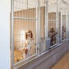 14x44 10-Run Commercial Kennel