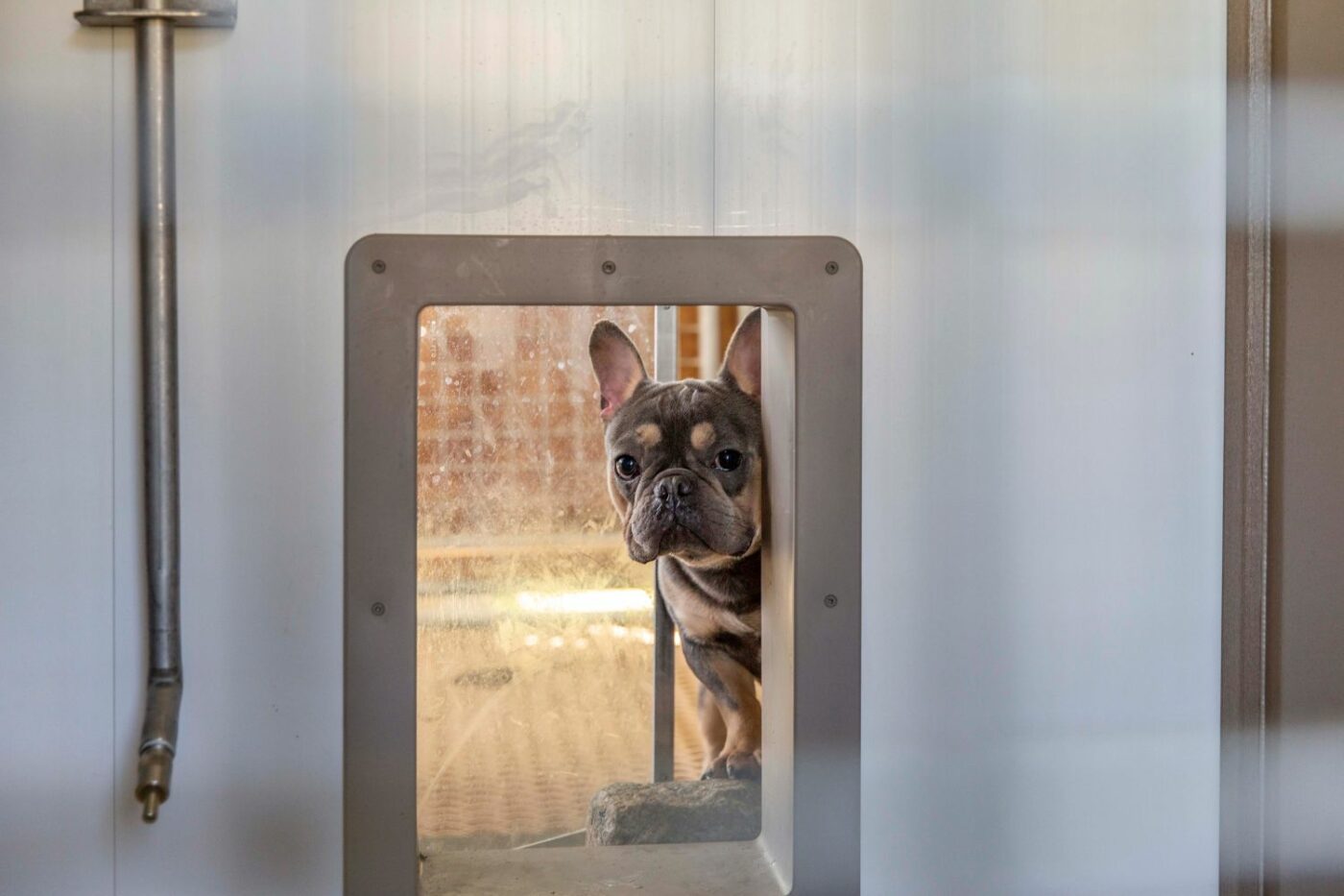 Breeder Dog Kennels For Sale in New Orleans LA
