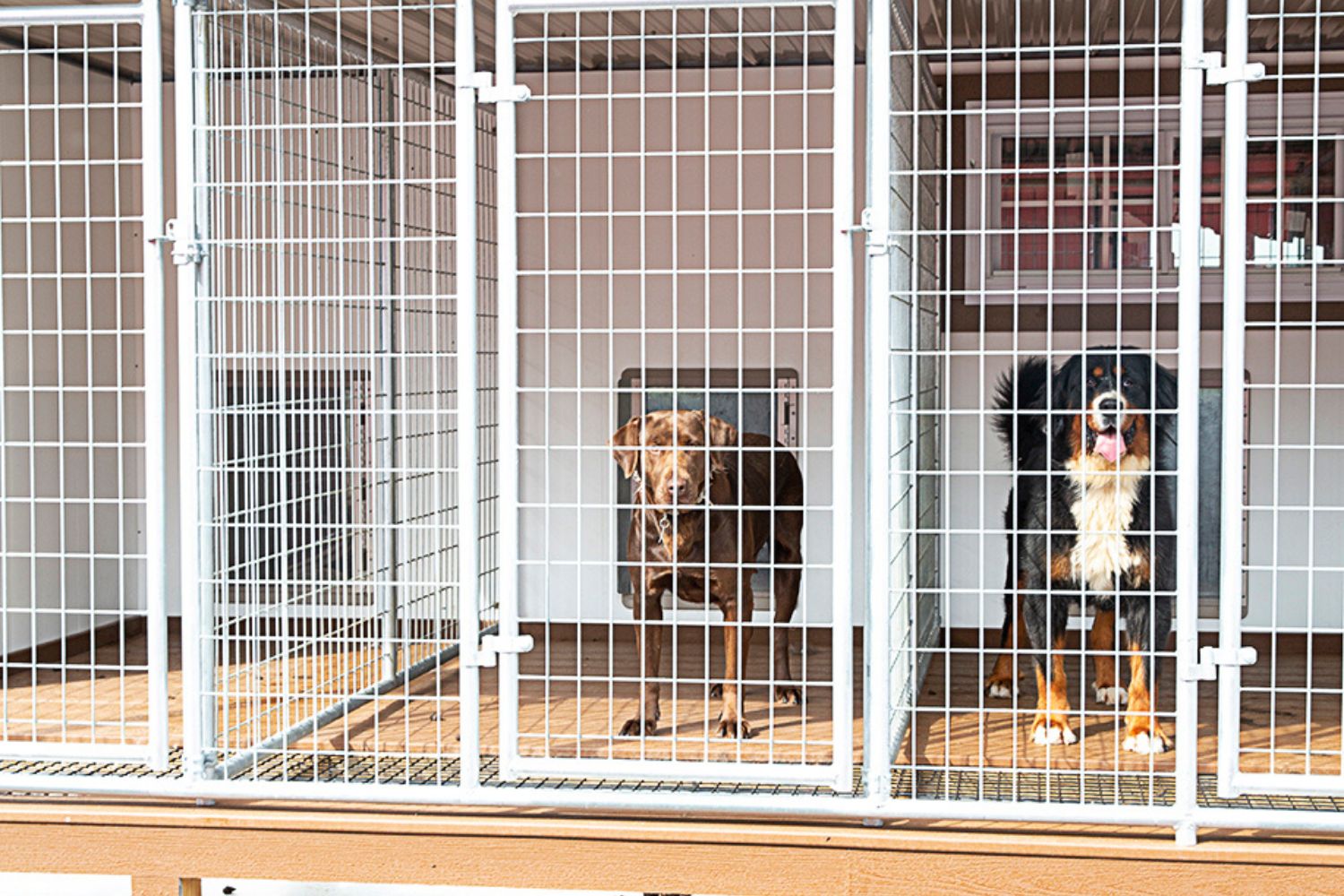 Breeder Dog Kennels for Sale in Silver City NM