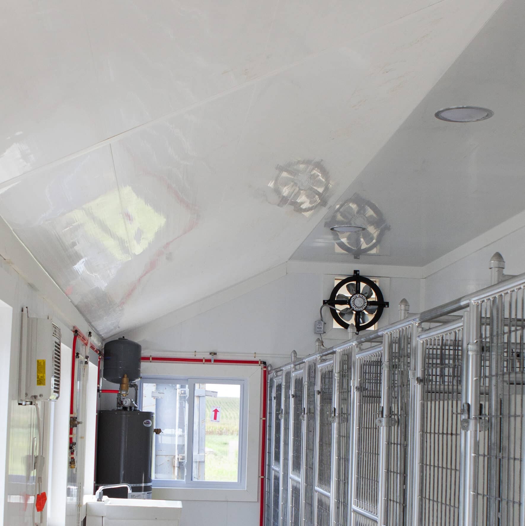 Cathedral Ceiling for Dog Shelter Kennels