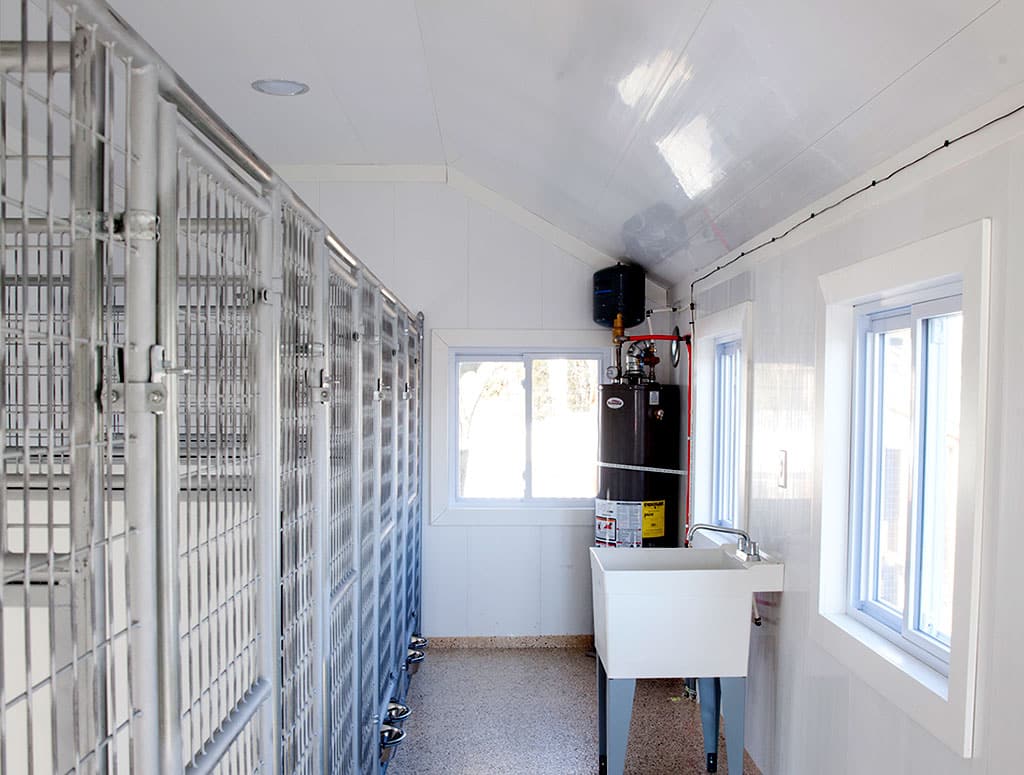 cleaning a dog kennel 4