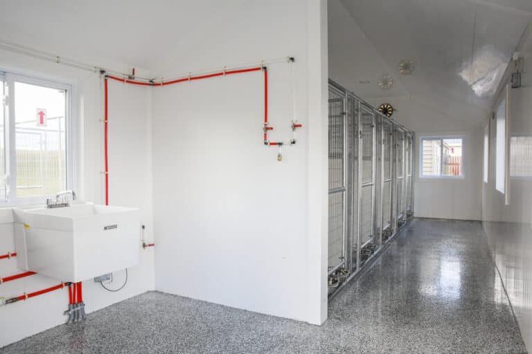 cleaning a dog kennel
