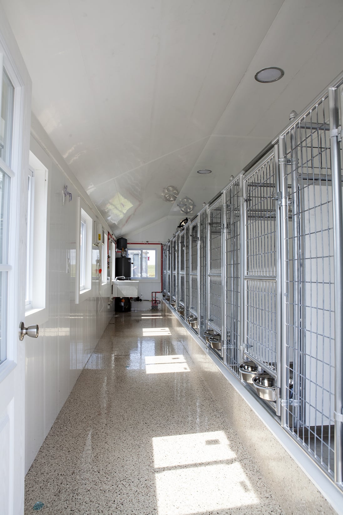 cleaning a dog kennel 9