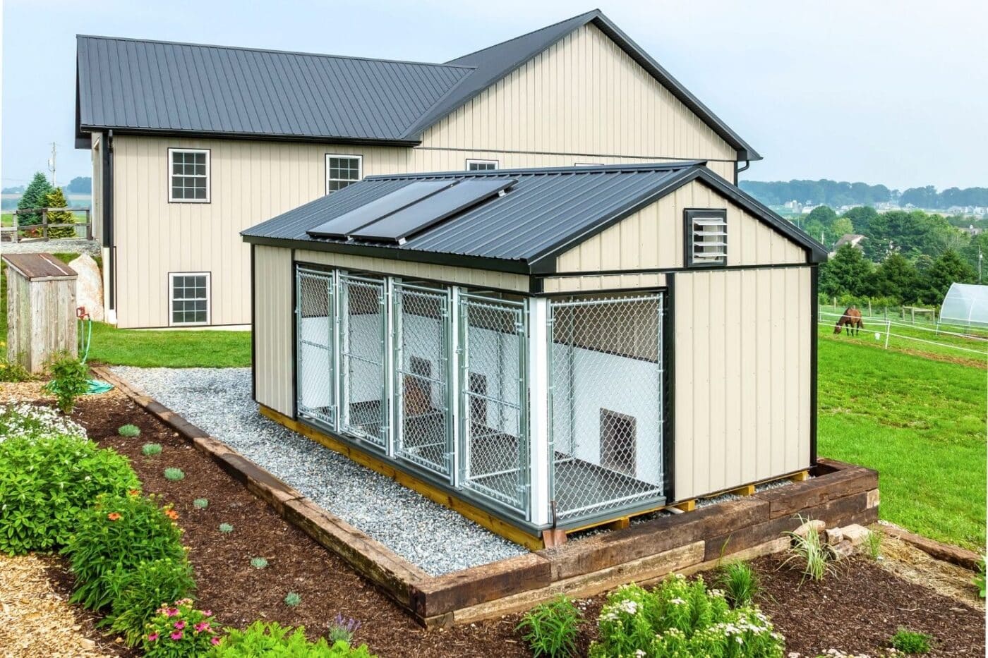commercial dog kennel for sale in new mexico