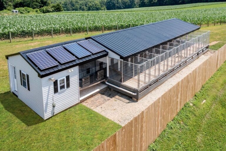 commercial dog kennel in montana