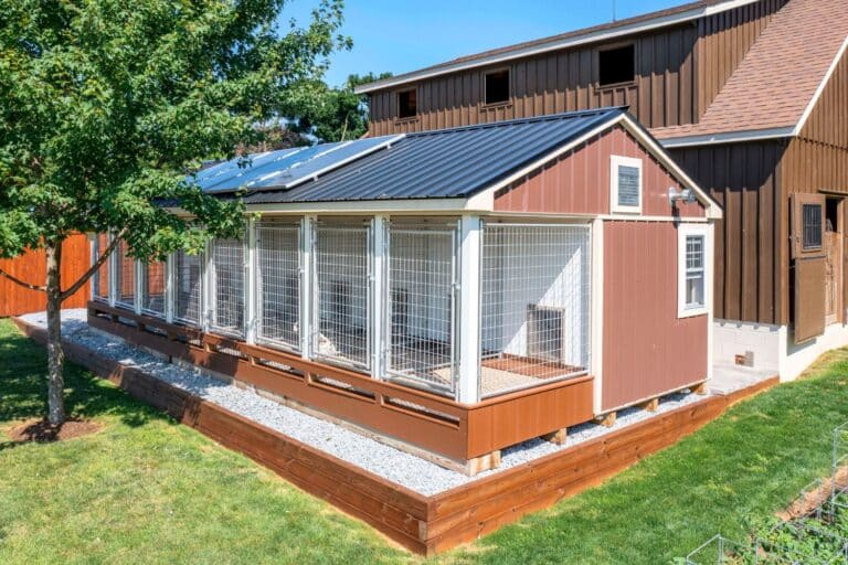 commercial dog kennel laws in delaware