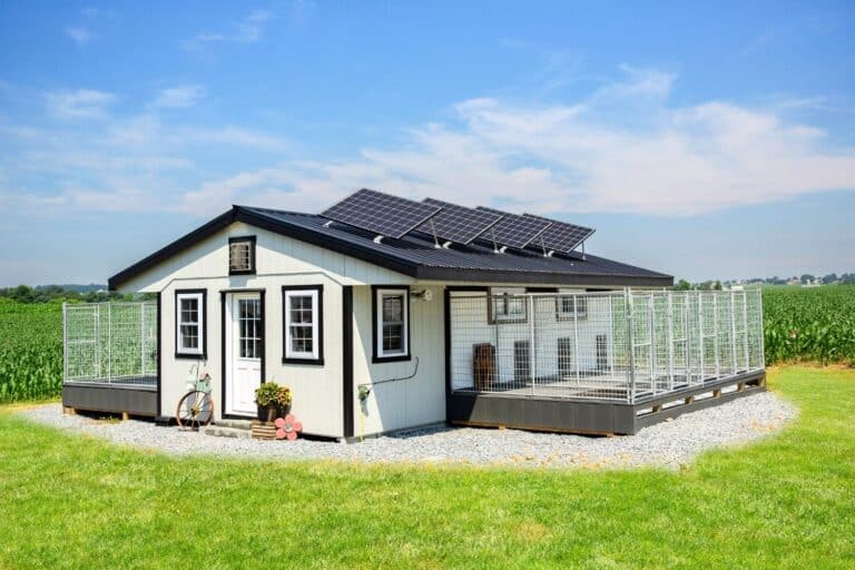 commercial dog kennel laws in georgia