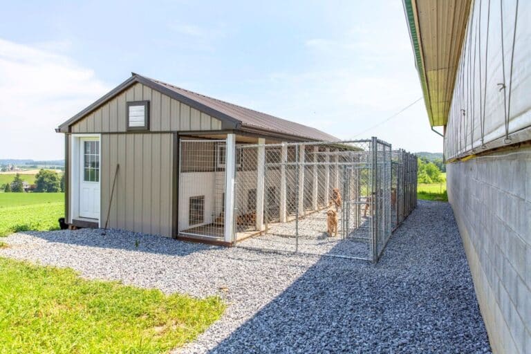 commercial dog kennel laws in maryland